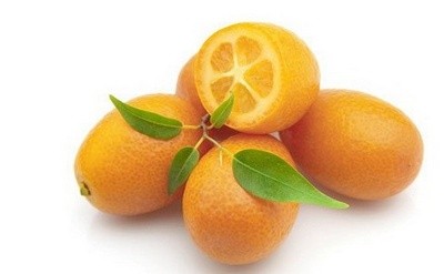 kumquat_2