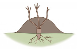 layering_mounding